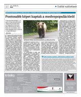 Krónika XXIII. évfolyam, 207. szám