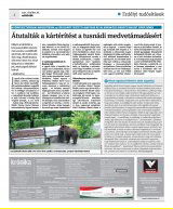 Krónika XXIII. évfolyam, 209. szám