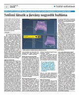Krónika XXIII. évfolyam, 209. szám
