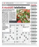 Székelyhon napilap III. évfolyam, 209. szám
