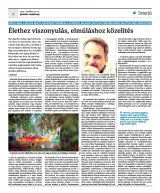 Krónika XXIII. évfolyam, 210. szám