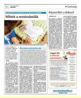 Krónika XXIII. évfolyam, 219. szám