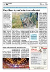 Krónika XXIII. évfolyam, 222. szám