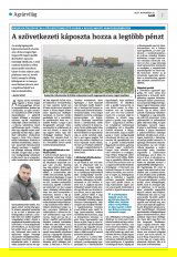 Krónika XXIII. évfolyam, 226. szám