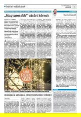 Krónika XXIII. évfolyam, 229. szám