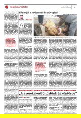 Krónika XXIII. évfolyam, 229. szám