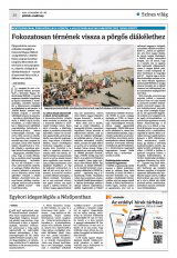 Krónika XXIII. évfolyam, 230. szám