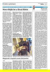 Krónika XXIII. évfolyam, 232. szám