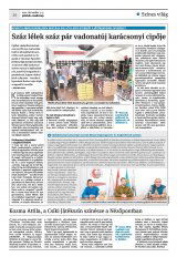 Krónika XXIII. évfolyam, 233. szám