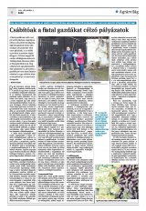 Krónika XXIII. évfolyam, 235. szám