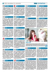 Krónika XXIII. évfolyam, 238. szám