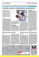 Krónika XXIII. évfolyam, 238. szám