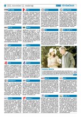 Krónika XXIII. évfolyam, 238. szám