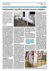 Krónika XXIII. évfolyam, 241. szám