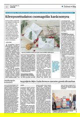 Krónika XXIII. évfolyam, 242. szám