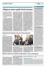 Krónika XXIII. évfolyam, 242. szám