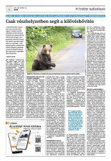 Krónika XXIII. évfolyam, 244. szám