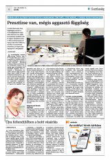 Krónika XXIII. évfolyam, 246. szám