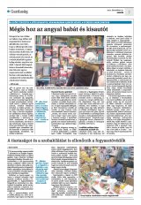 Krónika XXIII. évfolyam, 246. szám