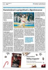 Krónika XXIII. évfolyam, 246. szám