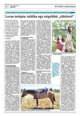 Krónika XXIII. évfolyam, 247. szám