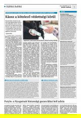 Krónika XXIII. évfolyam, 248. szám