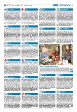 Krónika XXIII. évfolyam, 248. szám