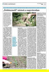 Krónika XXIII. évfolyam, 249. szám