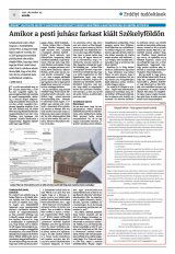 Krónika XXIII. évfolyam, 250. szám