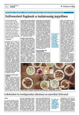 Krónika XXIII. évfolyam, 251. szám