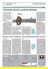 Krónika XXIII. évfolyam, 252. szám