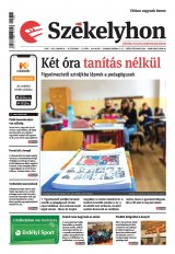 IV. évfolyam, 11. szám