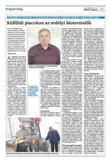 Krónika XXIV. évfolyam, 14 szám