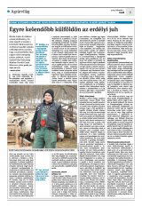 Krónika XXIV. évfolyam, 20. szám