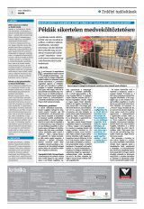 Krónika XXIV. évfolyam, 21. szám