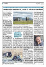 Krónika XXIV. évfolyam, 21. szám