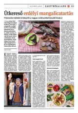 Székelyhon napilap IV. évfolyam, 21. szám