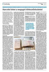 Krónika XXIV. évfolyam, 34. szám