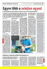 Székelyhon napilap IV. évfolyam, 37. szám