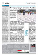 Krónika XXIV. évfolyam, 38. szám