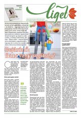 Székelyhon napilap IV. évfolyam, 38. szám