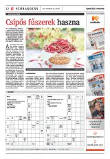 Székelyhon napilap IV. évfolyam, 39. szám