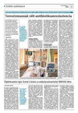 Krónika XXIV. évfolyam, 40. szám