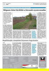 Krónika XXIV. évfolyam, 41. szám