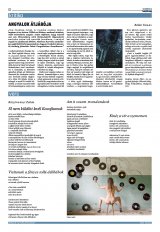 Krónika XXIV. évfolyam, 44. szám