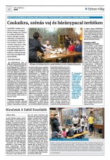 Krónika XXIV. évfolyam, 44. szám