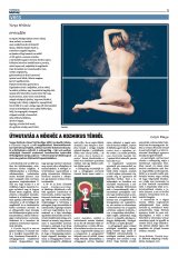 Krónika XXIV. évfolyam, 44. szám