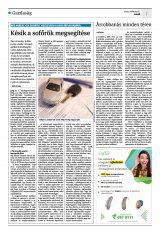 Krónika XXIV. évfolyam, 45. szám