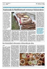 Krónika XXIV. évfolyam, 46. szám