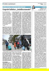 Krónika XXIV. évfolyam, 46. szám